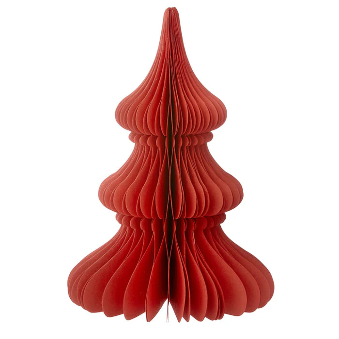 Evergreen Paper Tree